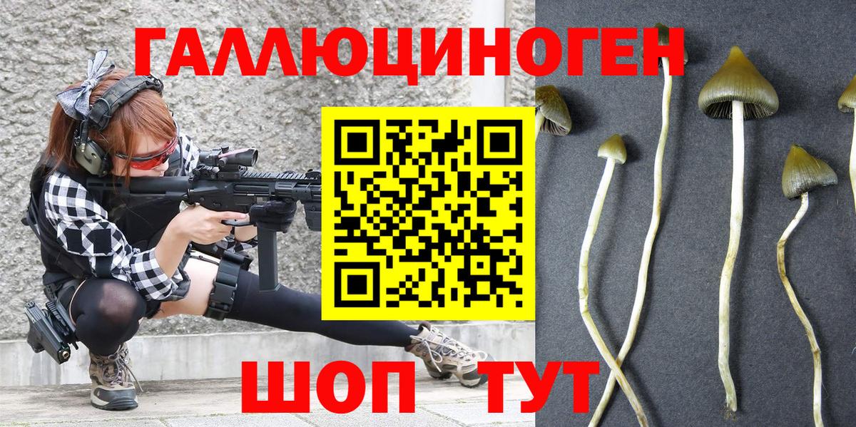 Псилоцибиновые грибы прущие грибы  Вход с VPN  наркотики  Комсомольск-на-Амуре  Псилоцибиновые грибы мицелий 