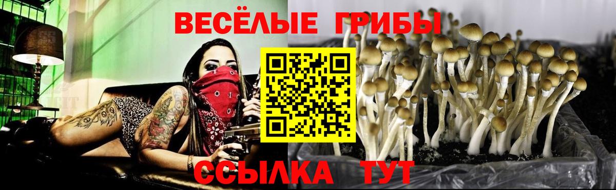 Галлюциногенные грибы Magic Shrooms Комсомольск-на-Амуре
